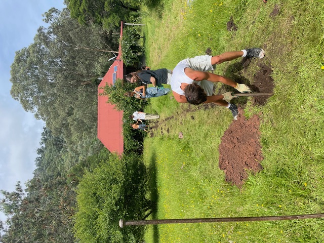 Working bee at Wollangarra